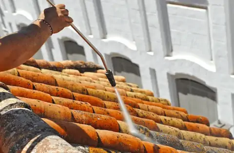 Nettoyage de toitures - Nuaillé